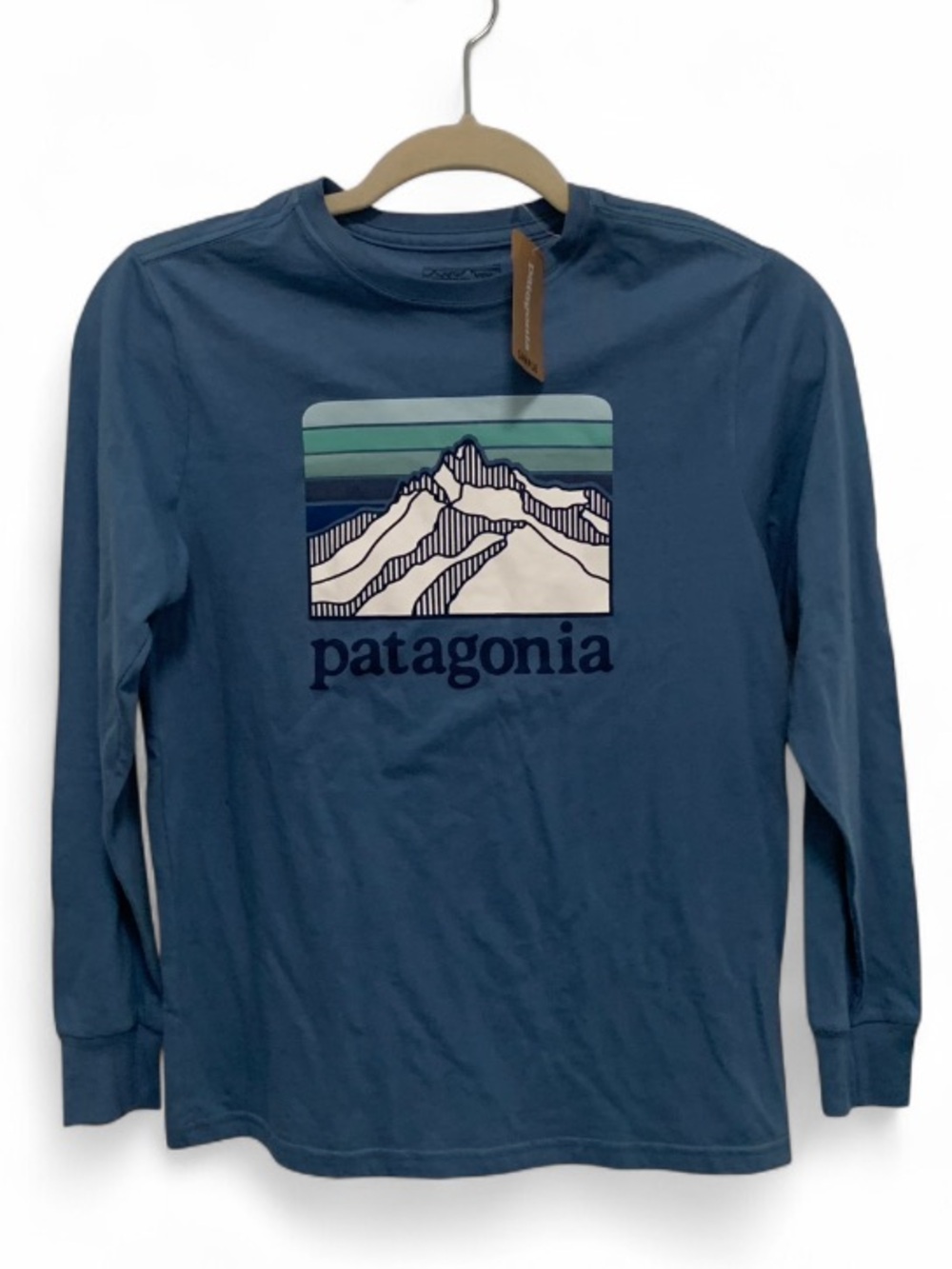 Patagonia Kids Long-Sleeve Graphic Tee in Dusty Blue with Mountain Print